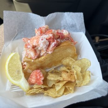 Bite Into Maine - Connecticut Roll - Food Trucks Near Me - Portland, Maine Bite Into Maine - Connecticut Roll - Food Trucks Near Me - Portland, Maine