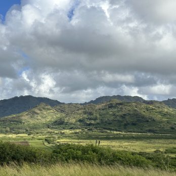 Kauai ATV Tours - Tours Near Me - Koloa, Hawaii