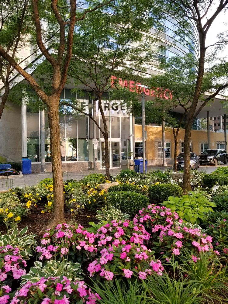 TORONTO GENERAL HOSPITAL 10 Photos & 44 Reviews 200 Elizabeth St