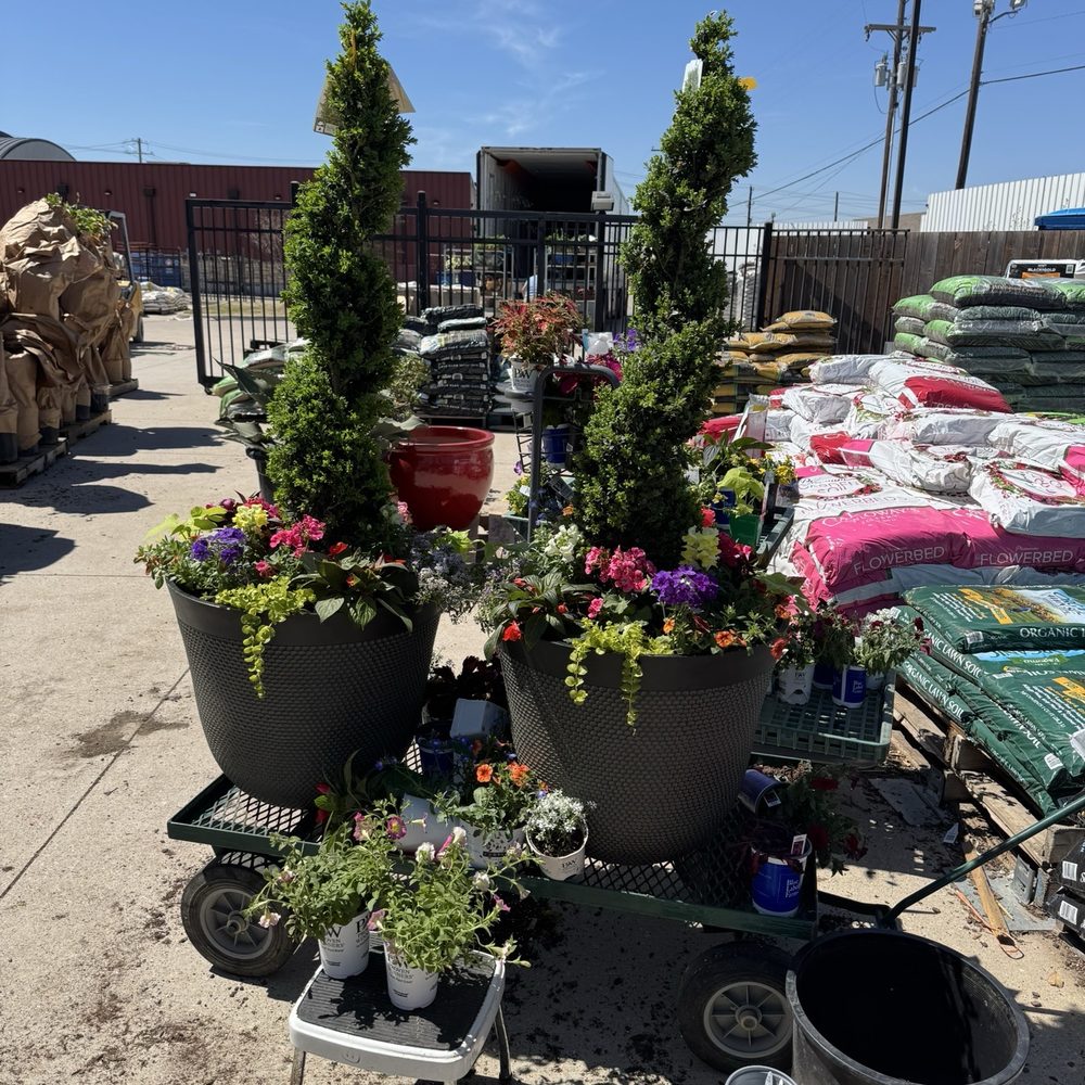 Calloway's Nursery - Custom planter by Layne @ calloways - Nurseries & Gardening Near Me - Hebron, Texas Calloway's Nursery - Custom planter by Layne @ calloways - Nurseries & Gardening Near Me - Hebron, Texas