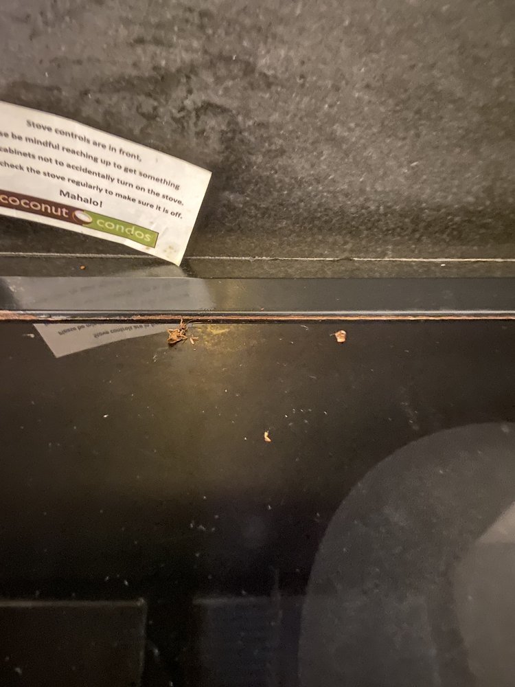 COCONUT CONDOS TEMP. CLOSED Updated October 2024 55 Photos & 30 Reviews 94 Kupuohi St