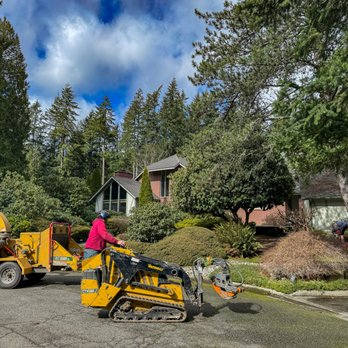 Sauve & Sons Tree Work - Tree Services Near Me Sauve & Sons Tree Work - Tree Services Near Me
