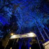 City Parks Foundation SummerStage gift card