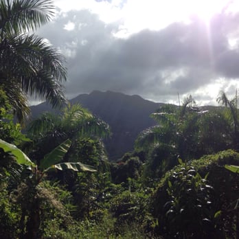 Yunque Ziplining - View from the starting point of the first of the 5 zip lines - Hiking Near Me - Luquillo, Puerto Rico Yunque Ziplining - View from the starting point of the first of the 5 zip lines - Hiking Near Me - Luquillo, Puerto Rico