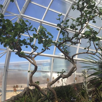 Crystal Bridge - Botanical Gardens Near Me - Oklahoma City, Oklahoma