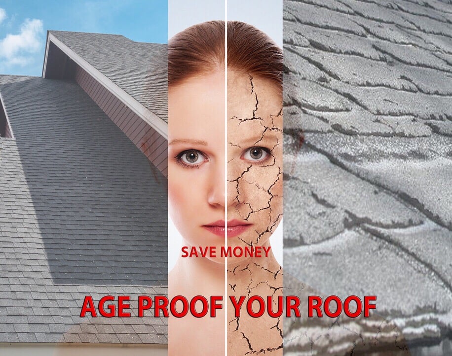 Slide of CityProPainting