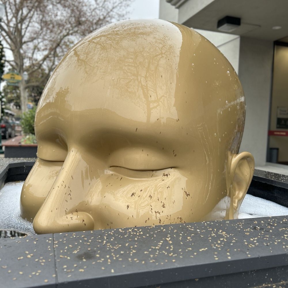 Fountain Head - Public Art Near Me - Walnut Creek, California Fountain Head - Public Art Near Me - Walnut Creek, California
