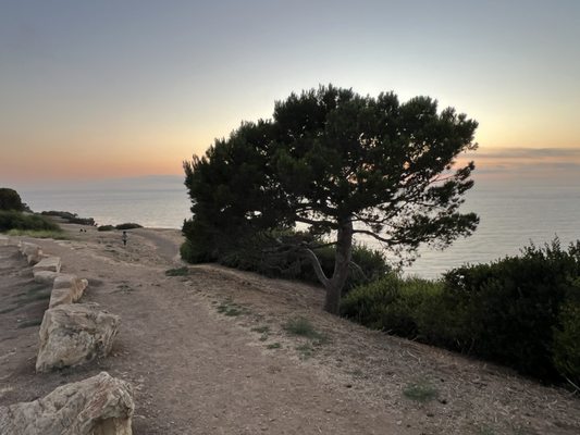 Palos Verdes Estates Shoreline Preserve by null