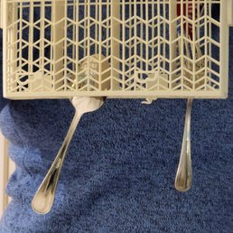 Broken dishwasher thingie