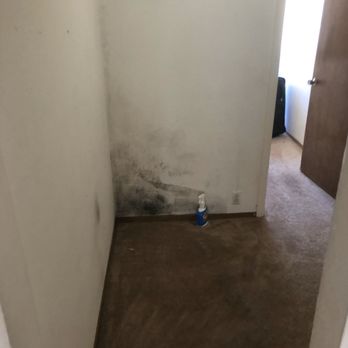 Chandler Property Management - Moldy closet walls - Property Management Near Me - San Francisco, California Chandler Property Management - Moldy closet walls - Property Management Near Me - San Francisco, California