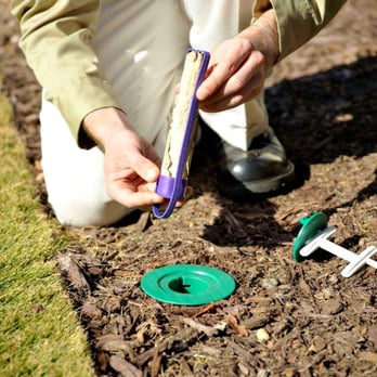 Ace Extrmnatg - Pest Control Near Me - Cincinnati, Ohio Ace Extrmnatg - Pest Control Near Me - Cincinnati, Ohio