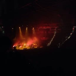 Arctic monkeys Arctic monkeys