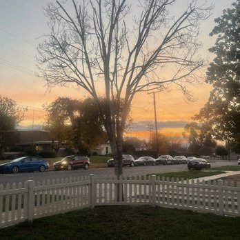 Rudy Tree Service - After Trim - Tree Services Near Me