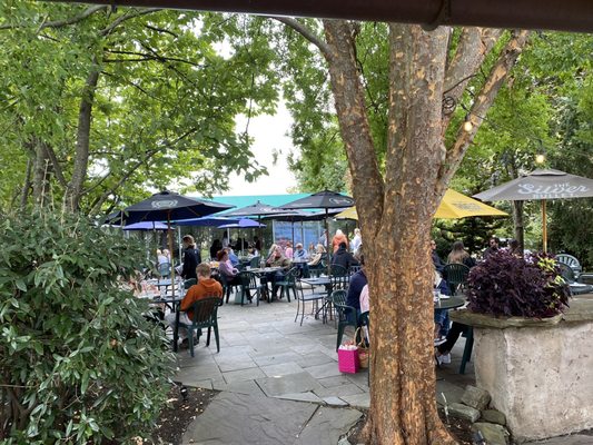 The Four Dogs Tavern by null