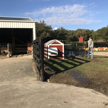 Dollinger Family Farm - Pumpkin Patches Near Me - Channahon, Illinois