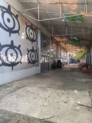 Miami Ironside by null