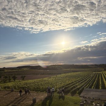 Bonobo Winery - Wineries Near Me - Traverse City, Michigan