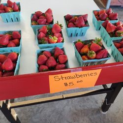 Circle R Fruit Farms