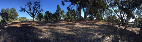 Golden Hill Park by null