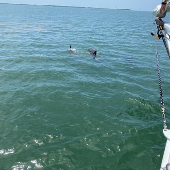 Danger Charters - Dolphins! - Rafting/Kayaking Near Me - Key West, Florida