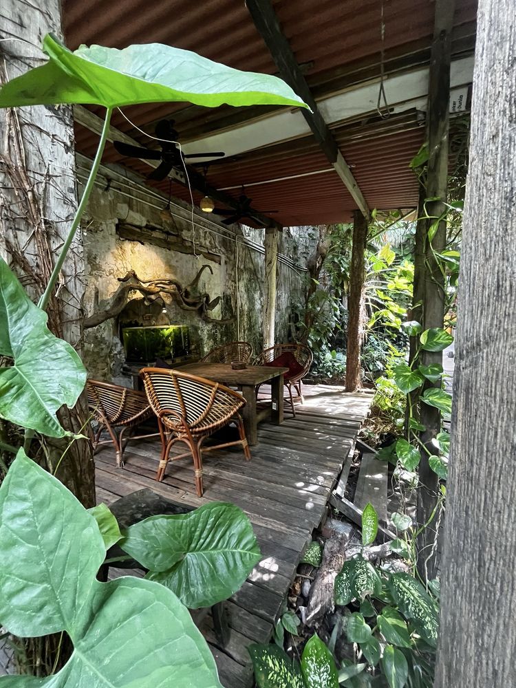 The Baboon House