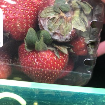 ACME Markets - Moldy strawberries - Grocery Near Me - Pleasant Valley, New York ACME Markets - Moldy strawberries - Grocery Near Me - Pleasant Valley, New York