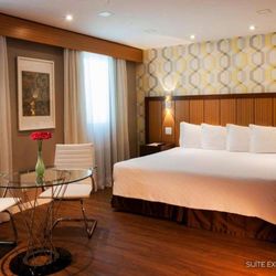 Bourbon Convention Ibirapuera - Guest room