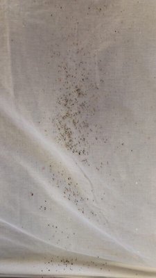 THRASHER TERMITE & PEST CONTROL - Updated January 2025 - 27 Photos