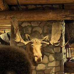 Gun Barrel Steak and Game House - Restaurant Decor