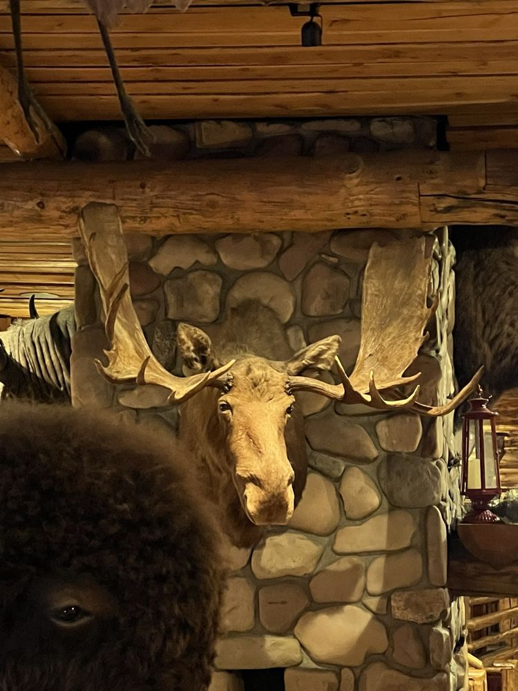 Gun Barrel Steak and Game House