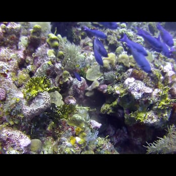 Rogue Aquatics - Scuba Diving Near Me - Central Point, Oregon Rogue Aquatics - Scuba Diving Near Me - Central Point, Oregon