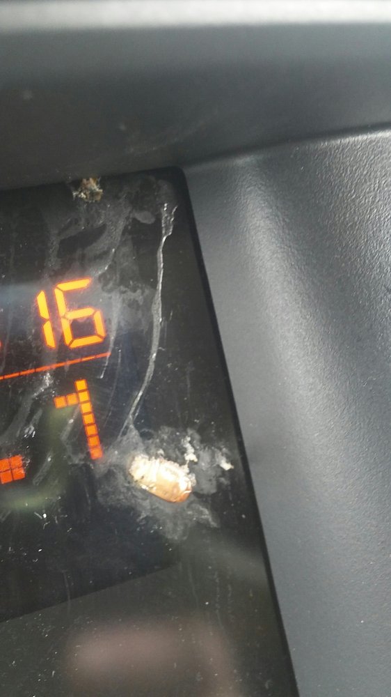 HERTZ RENT A CAR Updated July 2024 14 Reviews 1030 S Federal Hwy