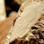 Photo of All Seasons Firewoods