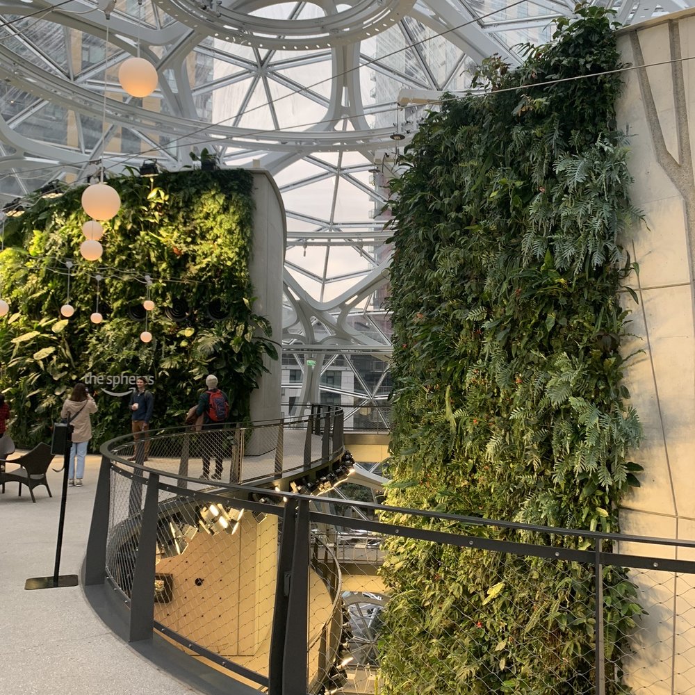 Amazon Spheres - Botanical Gardens Near Me - Seattle, Washington Amazon Spheres - Botanical Gardens Near Me - Seattle, Washington