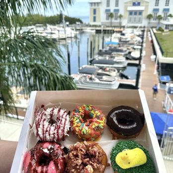 The Donut Experiment - Donuts Near Me - Anna Maria, Florida The Donut Experiment - Donuts Near Me - Anna Maria, Florida