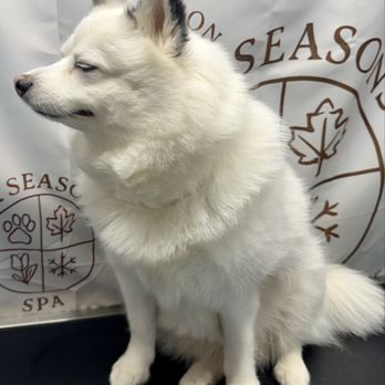 Fur Seasons Spa - Pet Groomers Near Me - Oak Creek, Wisconsin Fur Seasons Spa - Pet Groomers Near Me - Oak Creek, Wisconsin