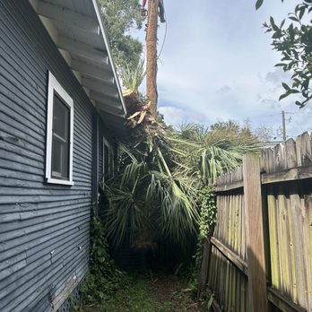 ArborGuard Tree Experts - How he broke my fence and didn't fix it or offer to fix it - Tree Services Near Me - Tampa, Florida ArborGuard Tree Experts - How he broke my fence and didn't fix it or offer to fix it - Tree Services Near Me - Tampa, Florida