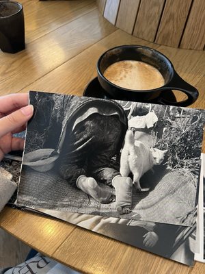 Four Letter Word Coffee by null