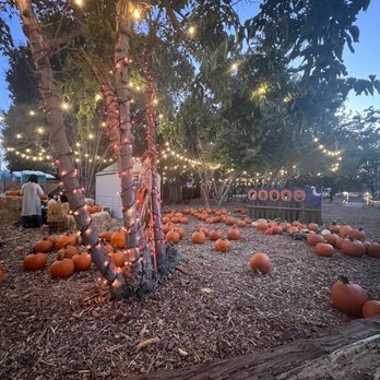 Moreland Pumpkin Patch - Festivals Near Me - San Jose, California Moreland Pumpkin Patch - Festivals Near Me - San Jose, California