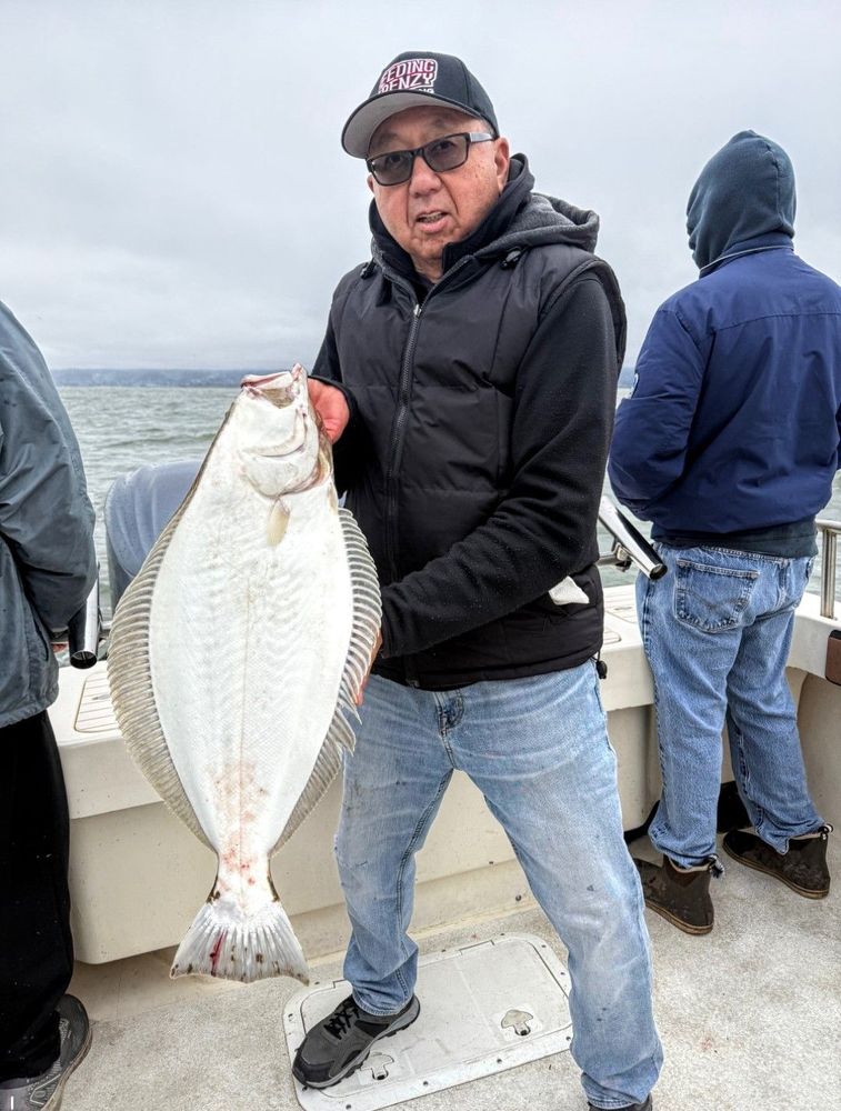 Feeding Frenzy SportFishing Logo