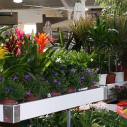 Squire's Garden Centres