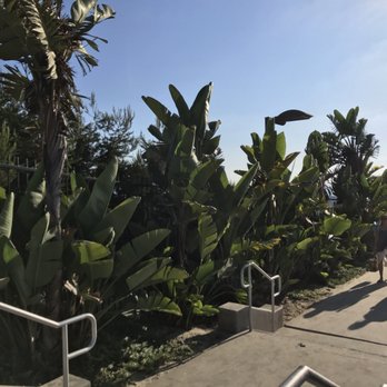 Dana Strand Beach - Beaches Near Me - Dana Point, California