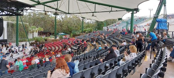 The St. Augustine Amphitheatre by null