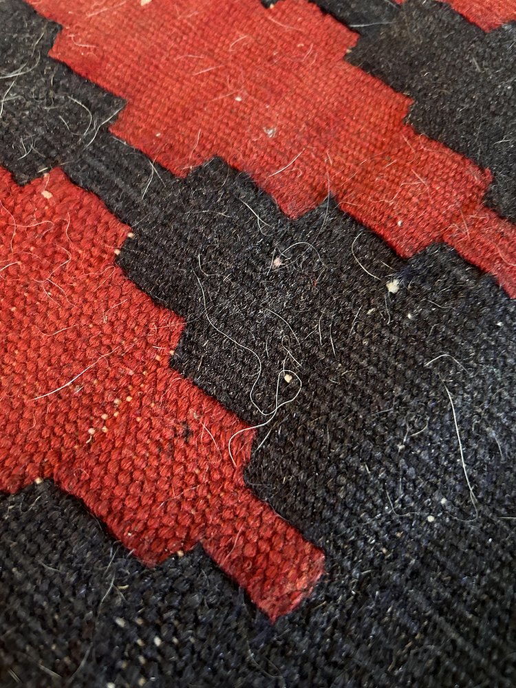 ALL GREEN CARPET CLEANING Updated June 2024 50 Photos & 116 Reviews