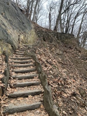 Inwood Hill Park by null