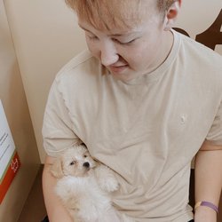 Petland