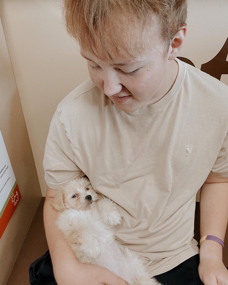 PETLAND Updated September 2024 13 Photos 433 N Thompson Ln