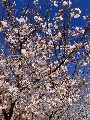 Riverfront Park by null