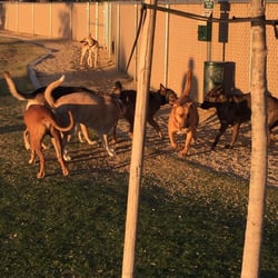 Essig Park