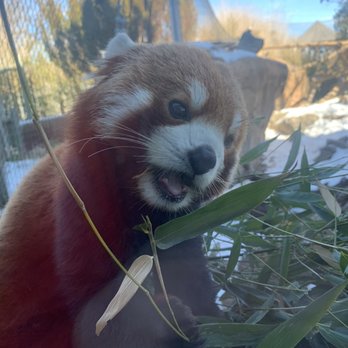 Sedgwick County Zoo - Zoos Near Me - Wichita, Kansas
